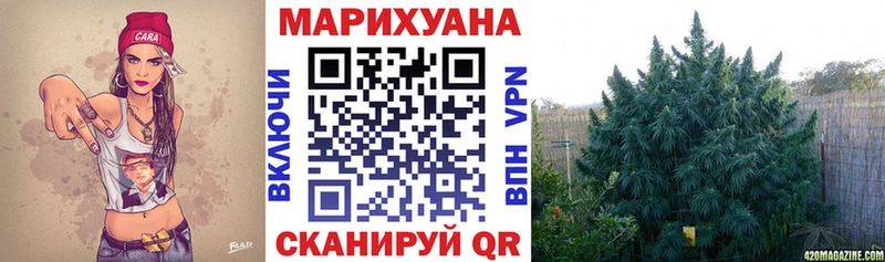 наркошоп  Дыгулыбгей  omg ссылка  Бошки марихуана VHQ 